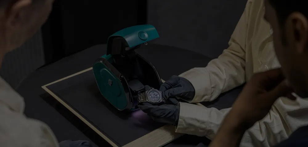 customer feedback reviews