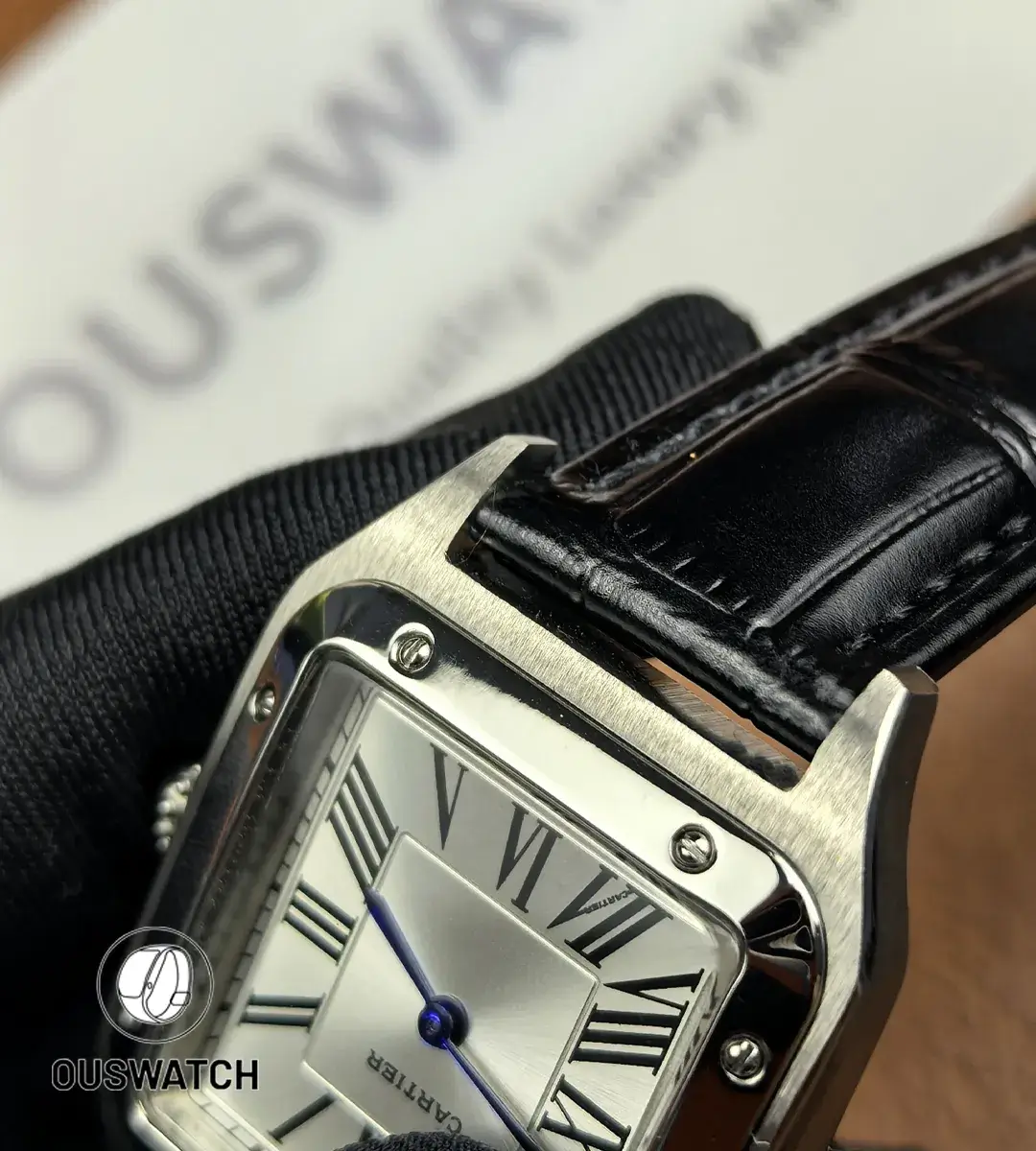 Bezel and lugs detail emphasizing case curvature and polishing.